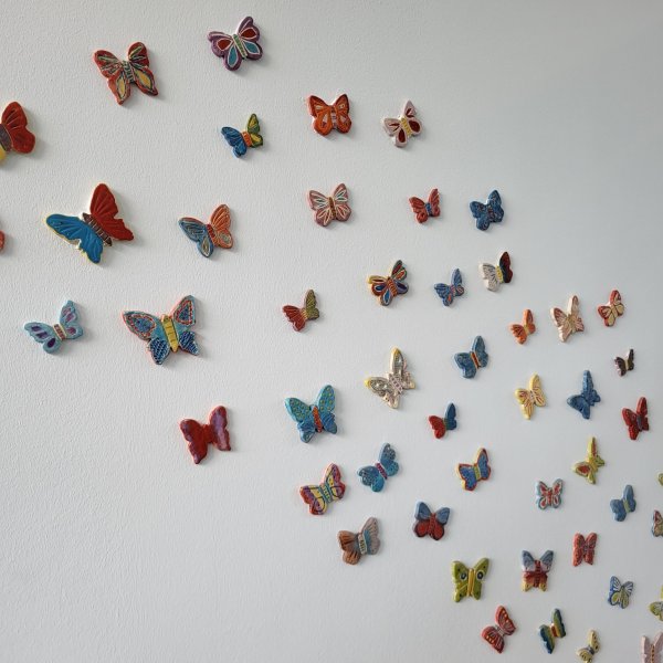 Diesjähriges Butterfly-Project!