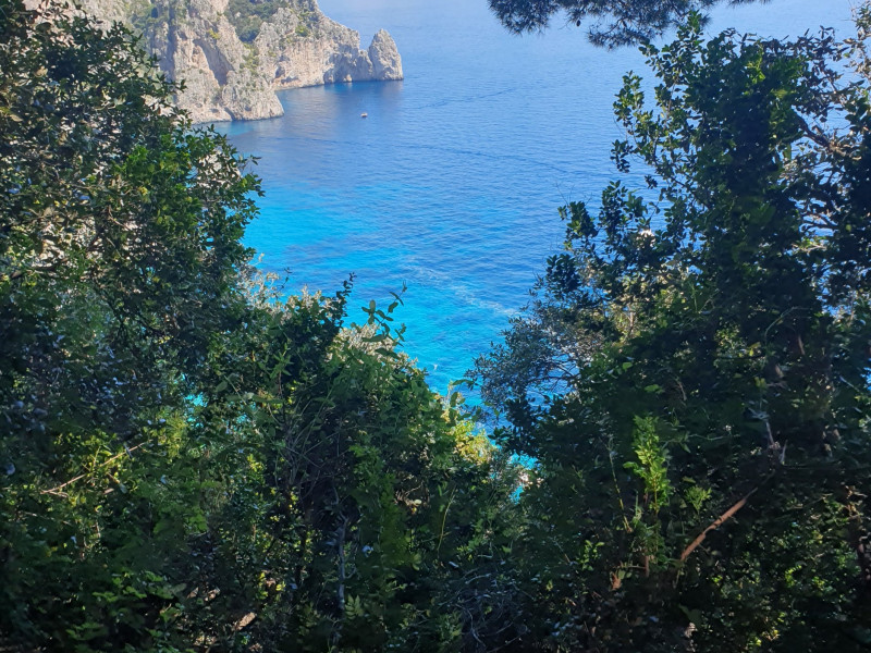 Lateinfahrt nach Italien